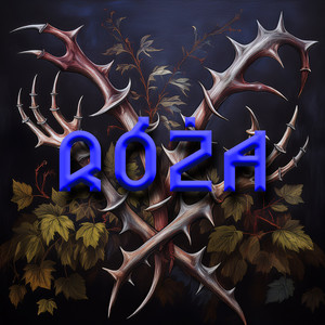 Róża