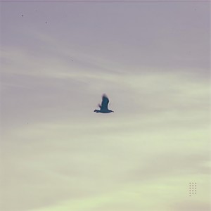 Ondas do Mar de Vigo