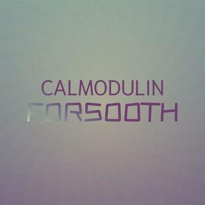 Calmodulin Forsooth