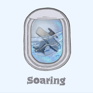 Soaring