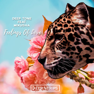 Feelings of Love (Original Mix)