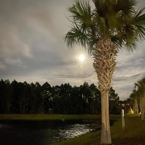 To The Moon To The Stars (feat. Kyle Radion & Roy Joes) (Single Version)