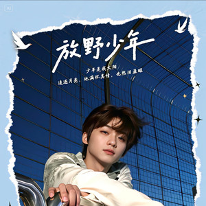 放野少年