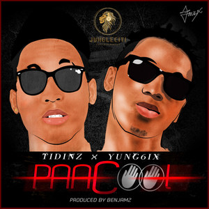 PaaCool(feat. Yung6ix) (Explicit)