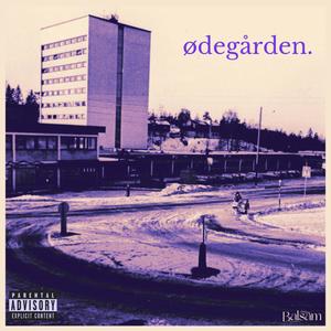 Ødegården (Country Remix|Explicit)