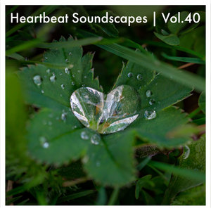 Heartbeat Soundscapes, Vol. 40