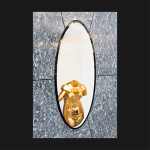 Autumn In The Forest