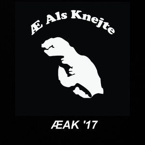 ÆAK '17 (Radio Edit)