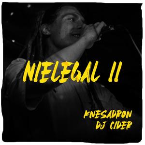 Nielegal II