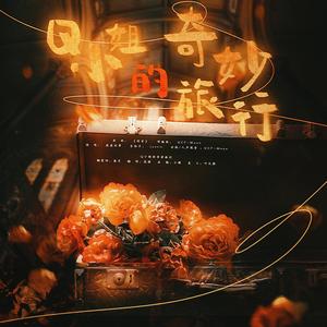 Q小姐的奇妙旅行