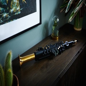 想你的时候问月亮