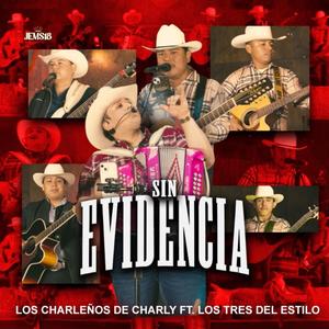Sin Evidencia (feat. Los Tres Del Estilo)