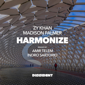 Harmonize (Indro Sartorio Remix)
