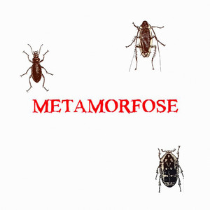 Metamorfose (Explicit)