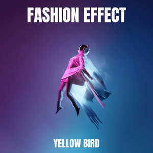 Fashion Effect