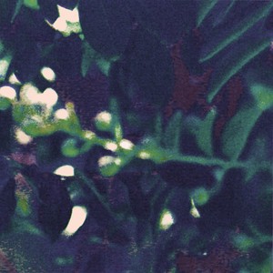 Ivy Falls - Blue