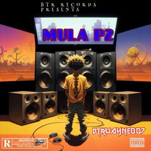 MULA P2