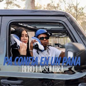 PA CONFIA EN UN PANA