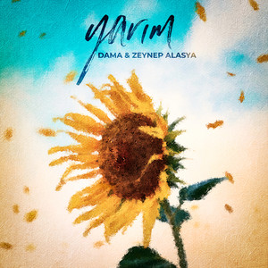 DAMA - Yarım