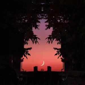 Do u wanna some drink?