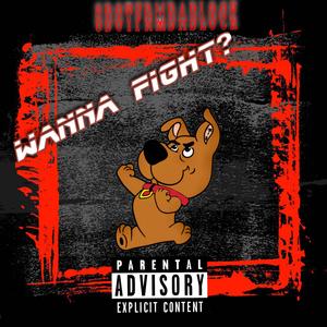 Wanna Fight (Explicit)