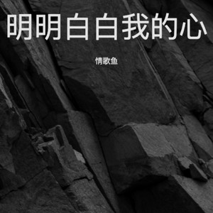 明明白白我的心 (R&B版)