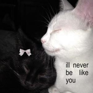 ill never be like you