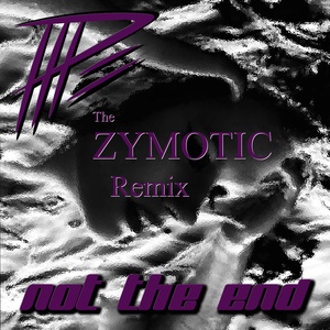 Not the End (Zymotic Remix) [Short Version]