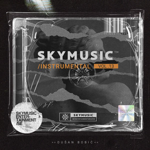 Skymusic Instrumental vol. 13