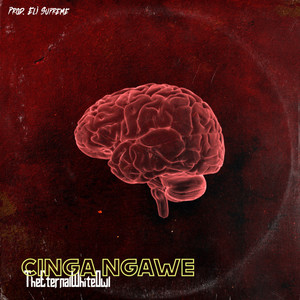 Cinga Ngawe