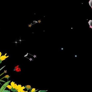 情感电台 祝你幸福