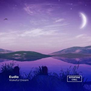 Wakeful Dream