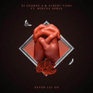 Never Let Go(feat. Miruna Oprea & Albert Vishi)