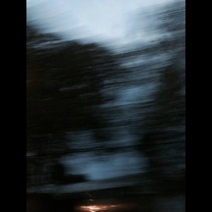 蝉 (prod.新约克)