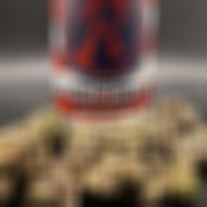 President Runtz (feat. RIEF2x) (Explicit)