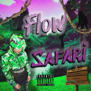 FLOW SAFARI (Explicit)