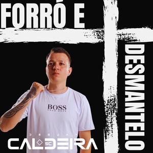 MEGA FORRÓ E DESMANTELO (Explicit)