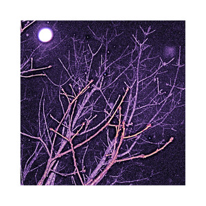 Crazy Fingers (Piano Version)