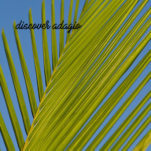 Discover Adagio