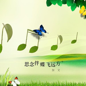思念伴蝶飞远方