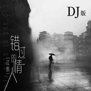 错过的情人 (DJ版伴奏)