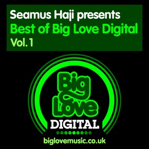 Seamus Haji presents Best of Big Love Digital, Vol. 1