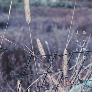 我会像现在这样老去