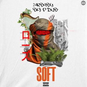 Soft (feat. Big P Dub) [Explicit]