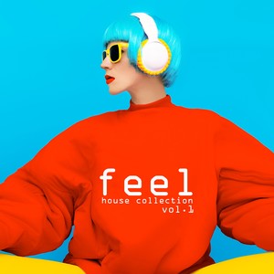 Feel House Collection, Vol. 1 - Strictly House Music