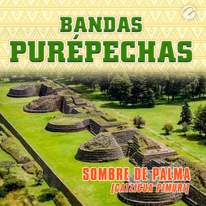 Sombre de Palma(Catzicua Pimuri)