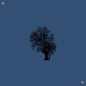 Fortunate (Explicit)