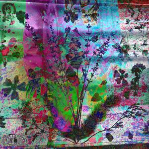 BDSM with .Wav files (feat. DJKillaC|Explicit)