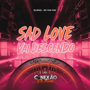 Sad Love Vai Descendo (Explicit)