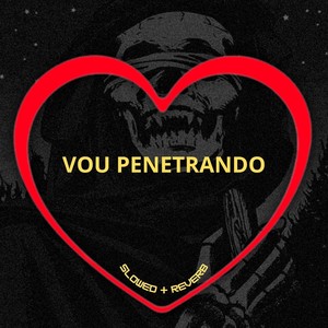 Vou Penetrando (Slowed + Reverb|Explicit)